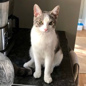 Meet your Posher, Courtney